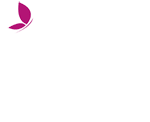 Shelter DiNoah